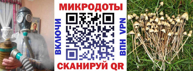 Галлюциногенные грибы прущие грибы  KRAKEN ТОР  Дюртюли 